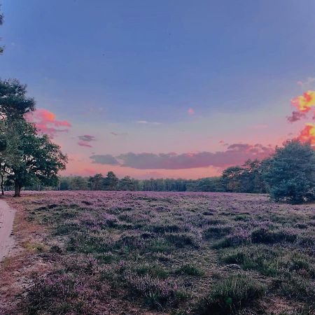 Sluwe Vos: Ontspannen In Het Bos! 오털로 외부 사진