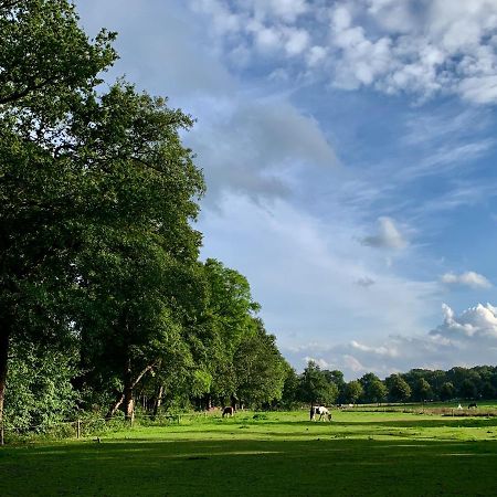 Sluwe Vos: Ontspannen In Het Bos! 오털로 외부 사진