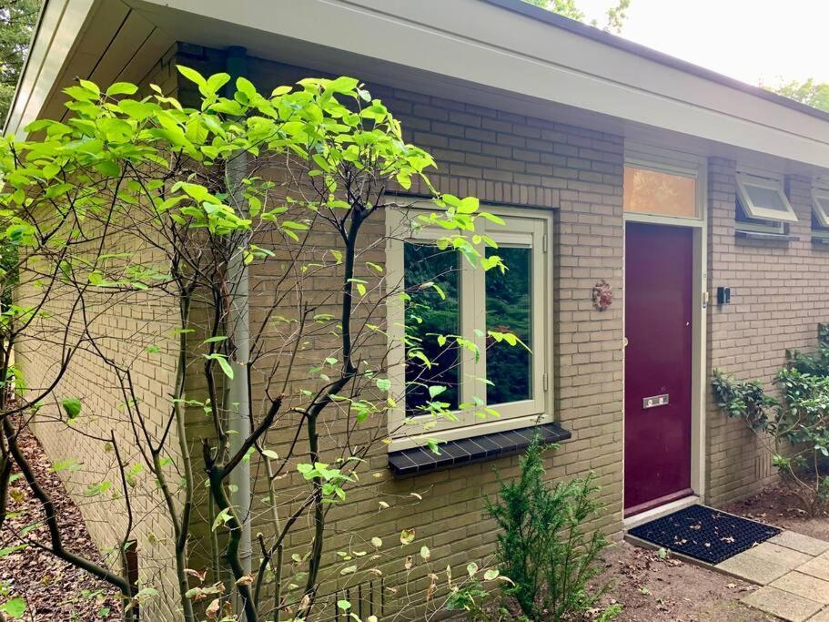 Sluwe Vos: Ontspannen In Het Bos! 오털로 외부 사진