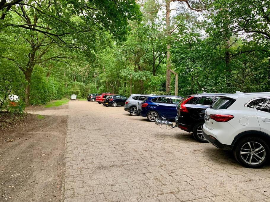 Sluwe Vos: Ontspannen In Het Bos! 오털로 외부 사진