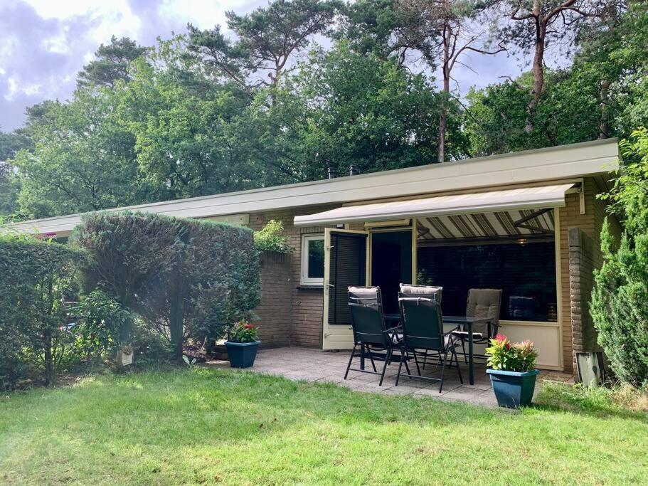 Sluwe Vos: Ontspannen In Het Bos! 오털로 외부 사진
