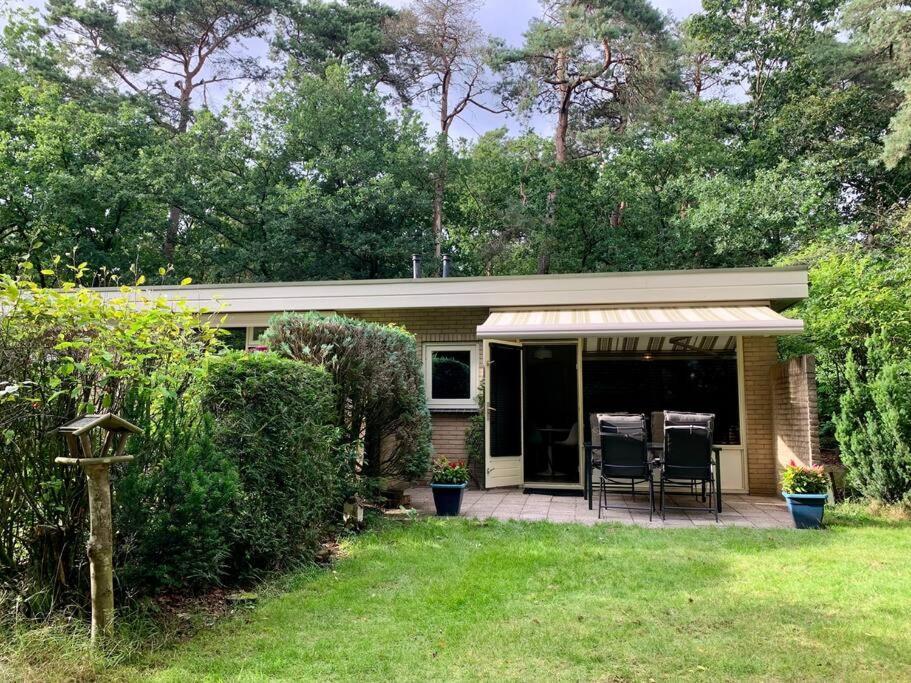 Sluwe Vos: Ontspannen In Het Bos! 오털로 외부 사진