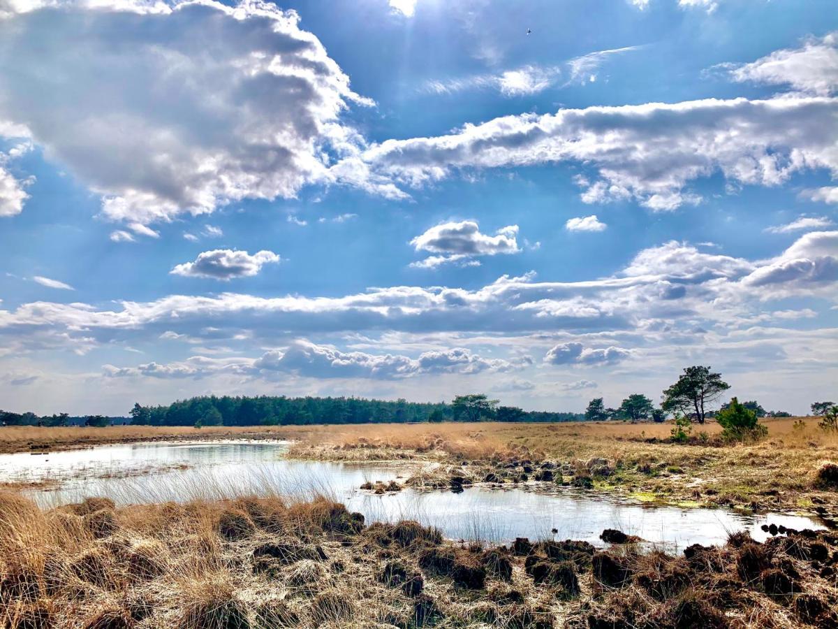 Sluwe Vos: Ontspannen In Het Bos! 오털로 외부 사진