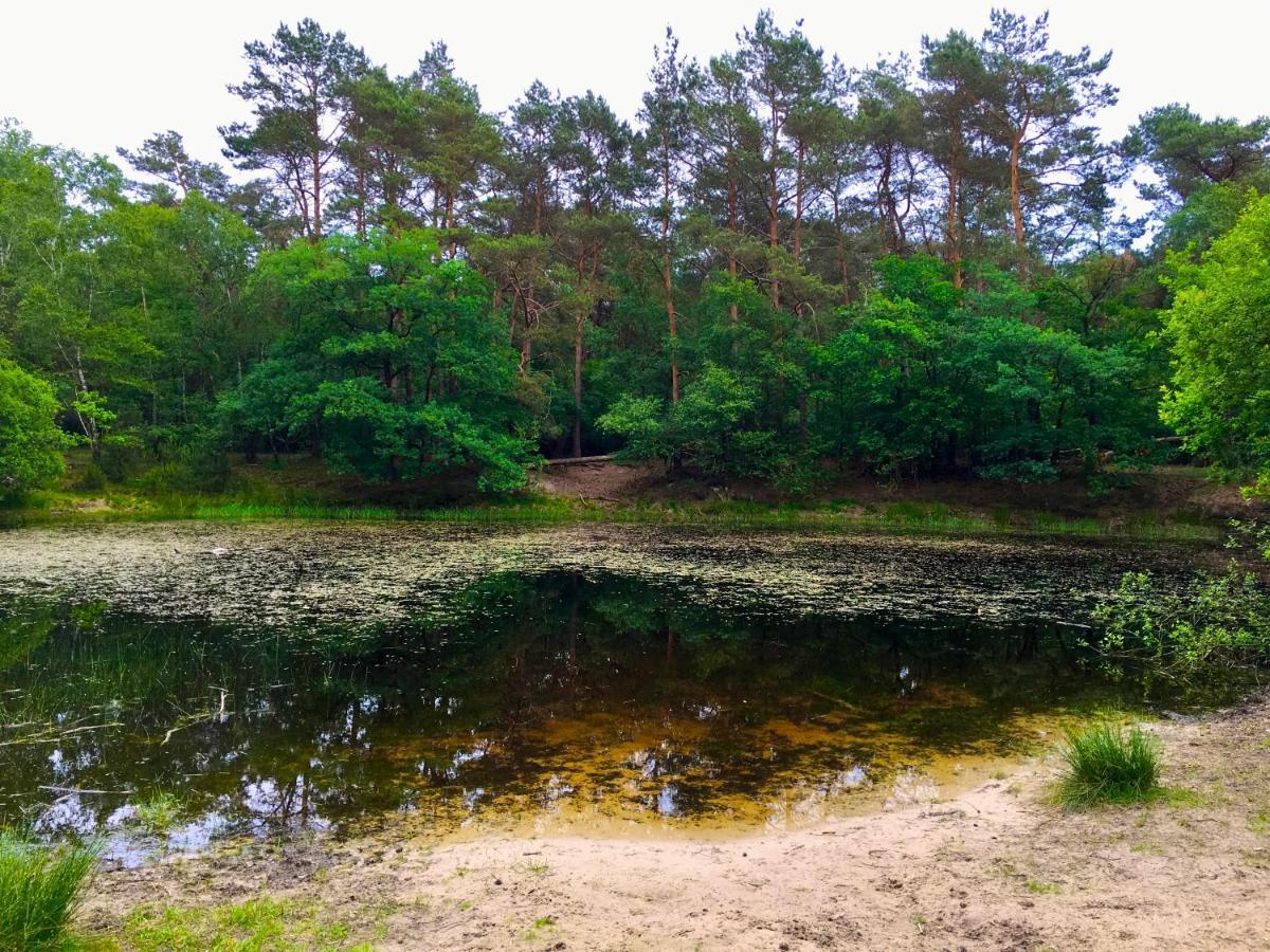 Sluwe Vos: Ontspannen In Het Bos! 오털로 외부 사진